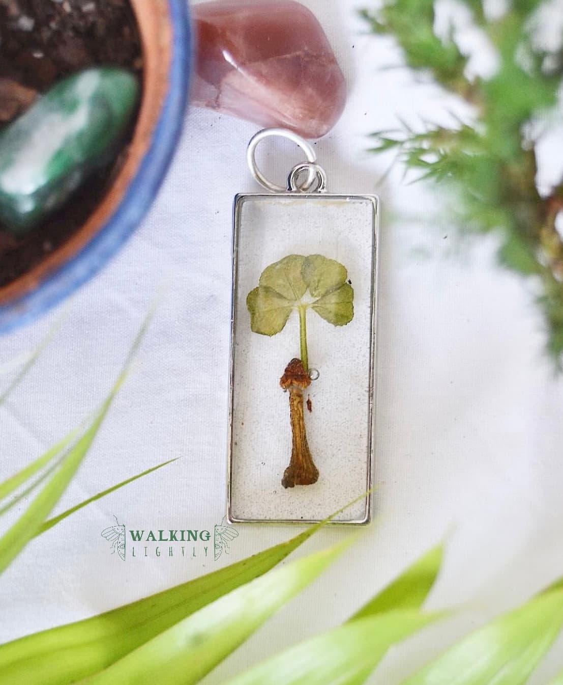 Clover & Mushroom